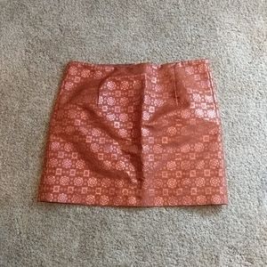 JCrew Shiny Skirt